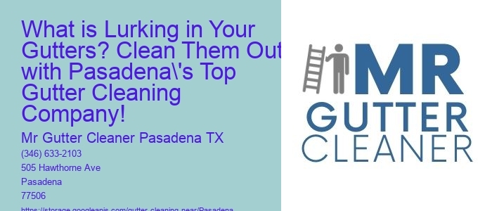 What is Lurking in Your Gutters? Clean Them Out with Pasadena's Top Gutter Cleaning Company!